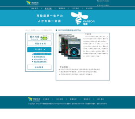 网站建设 从规划到上线的全方位指南