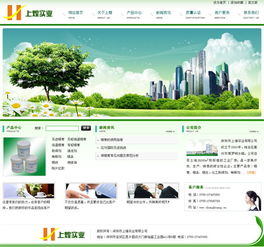 网站建设 从规划到上线的完整指南